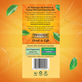 Lemon & Ginger Herbal Tea Bags 50 Count Box