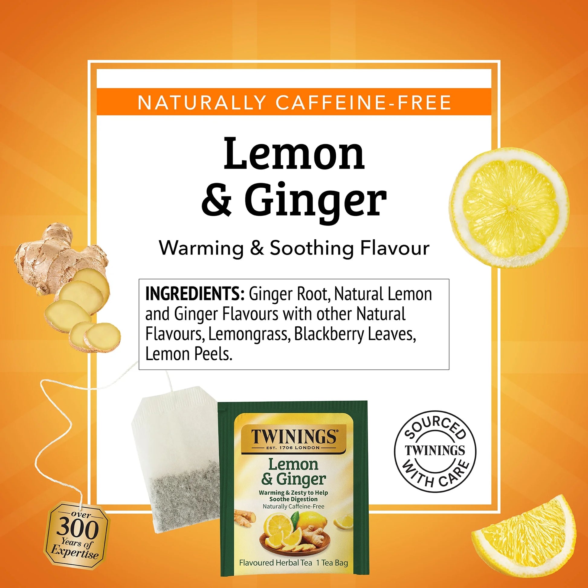 Lemon & Ginger Herbal Tea Bags 50 Count Box
